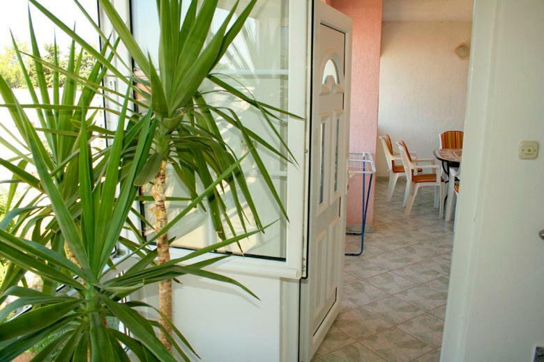 Apartments Mirjana - Stara Novalja Luaran gambar