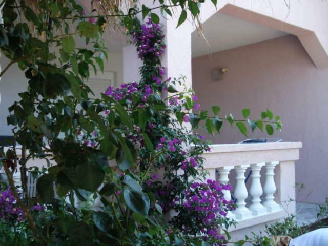 Apartments Mirjana - Stara Novalja Luaran gambar